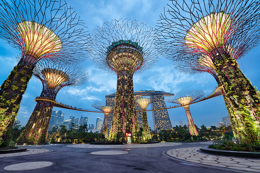 Under The Supertrees | Singapore