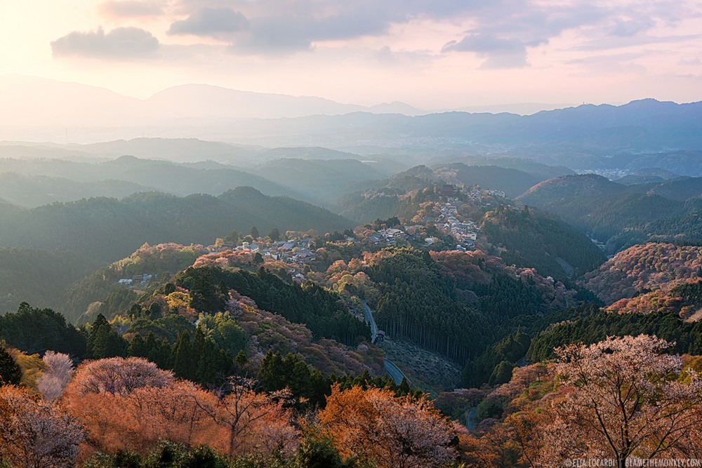 Sacred Mountain - Yoshino - Japan