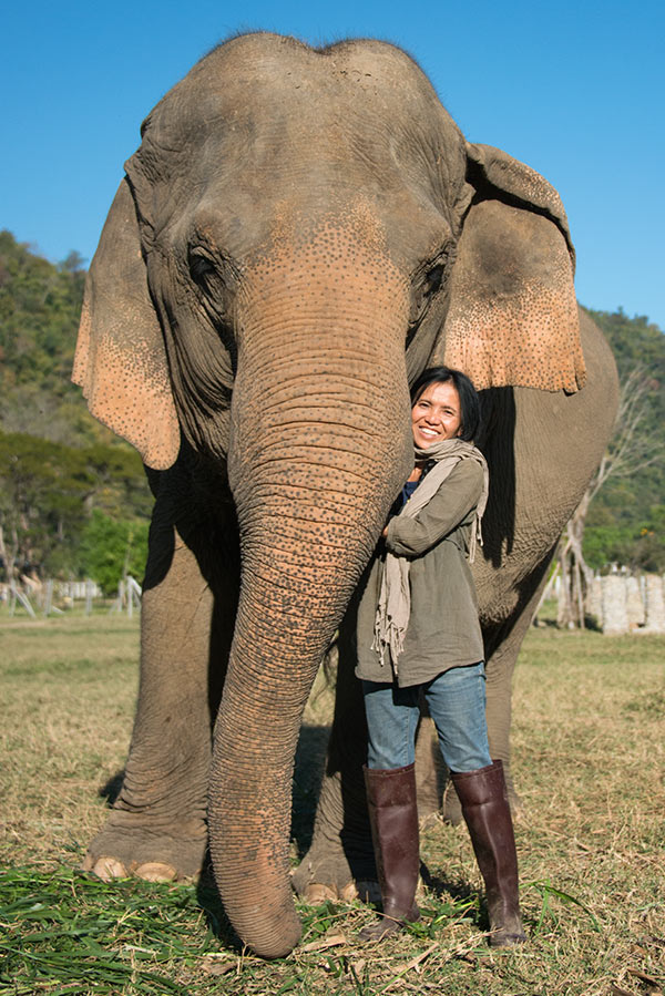 Lek-with-Elephant-2014-sm