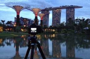 Singapore Super Trees