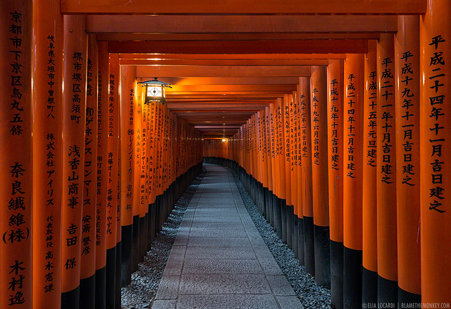"Vermillion Gates" | ©2013 Elia Locardi | Kyoto, Japan