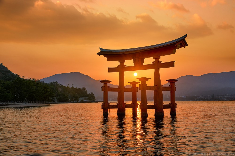 Floating on Light || Itsukushima Japan